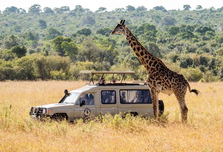 Ruaha National Park Tour