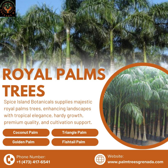 Royal Palms in Grenada