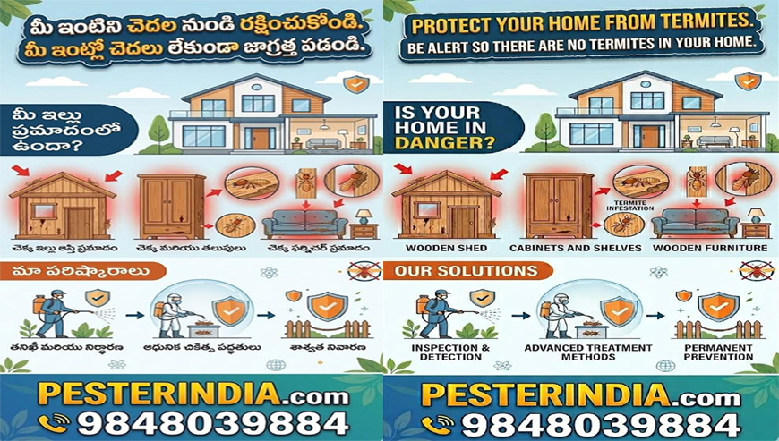 Pest Control Services in Hyderabad  Pesterindia
