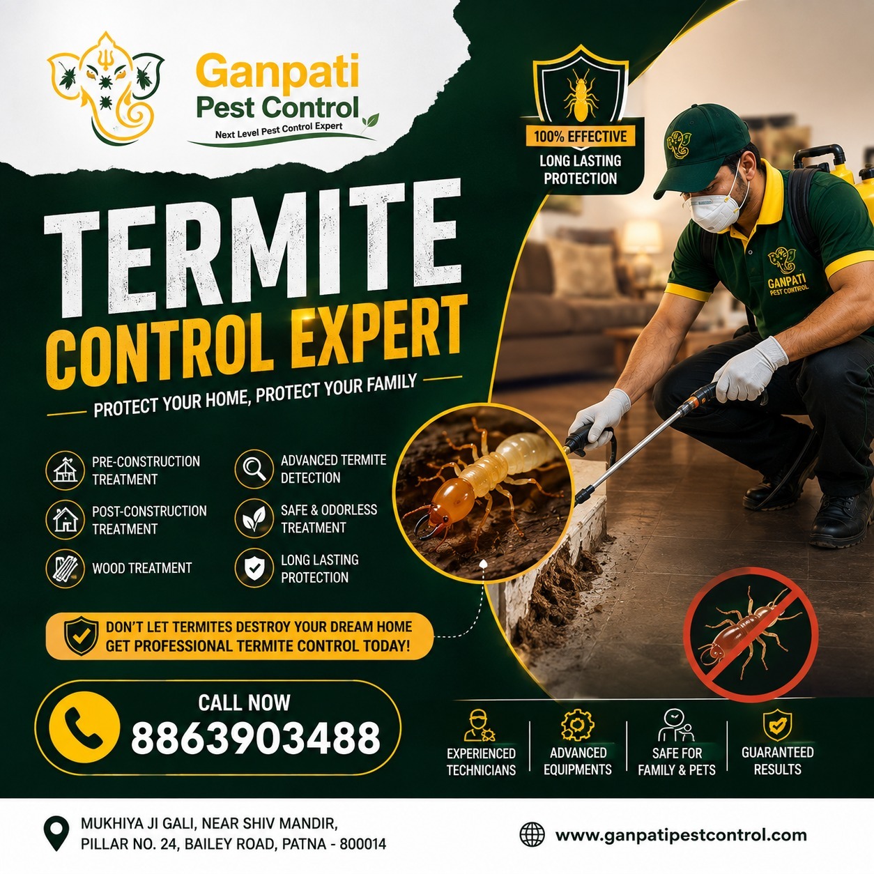 Affordable Termite Control Company in Patna